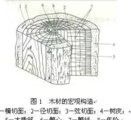 墻面開(kāi)裂如何修補(bǔ)：實(shí)木家具開(kāi)裂，這才是解決之道！
